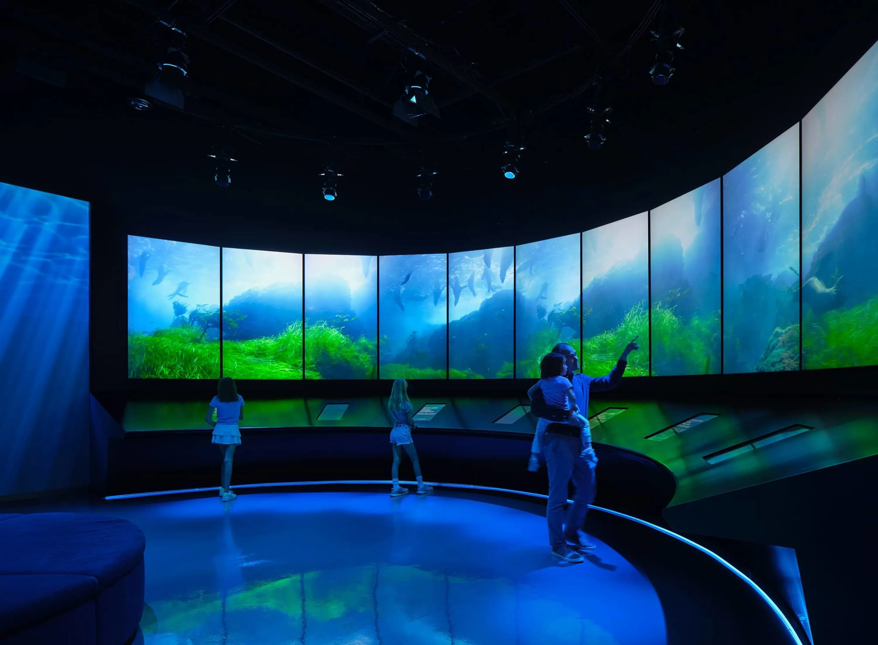 Wight & Company | Blue Paradox Exhibit, Griffin Museum of Science and…